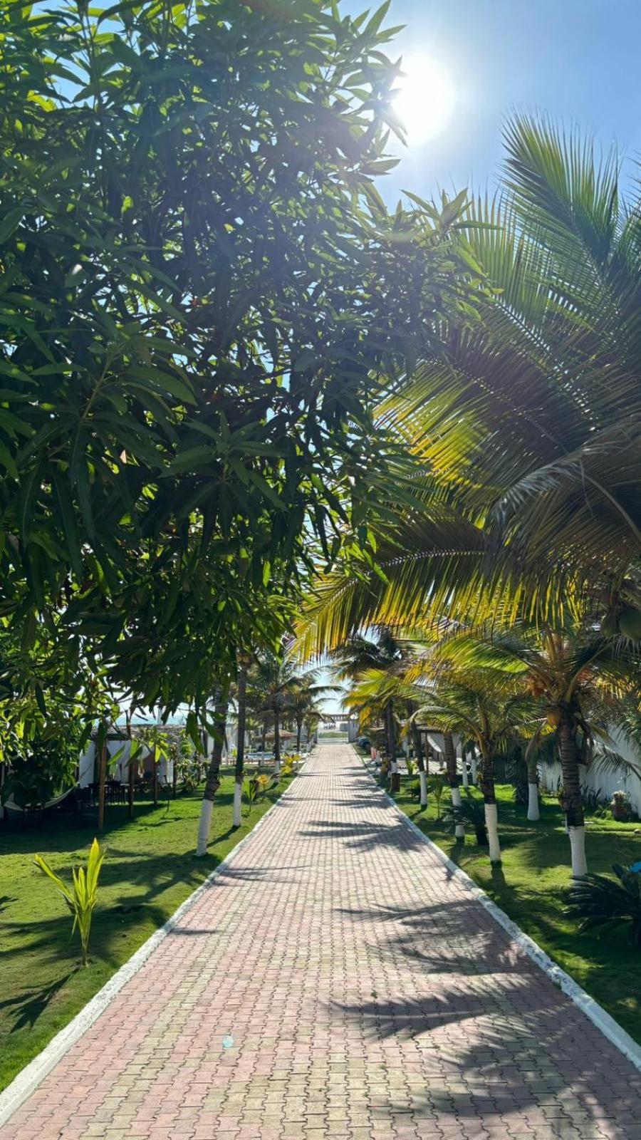 Hotel La Mar פלאיאס מראה חיצוני תמונה