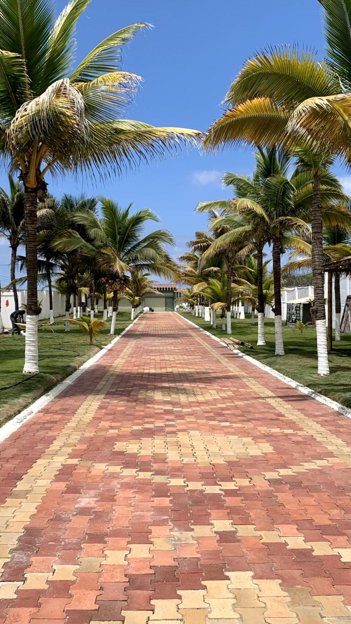 Hotel La Mar פלאיאס מראה חיצוני תמונה