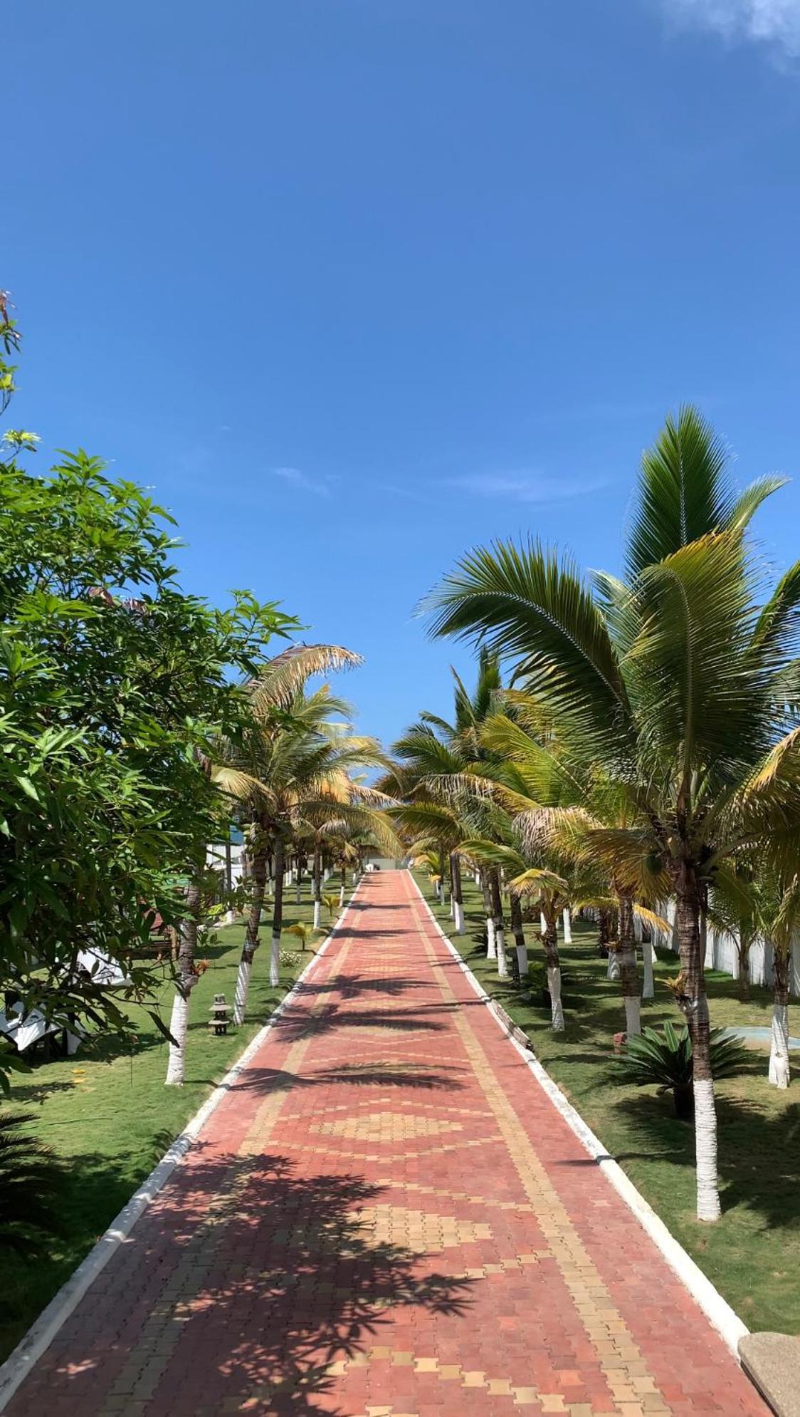 Hotel La Mar פלאיאס מראה חיצוני תמונה